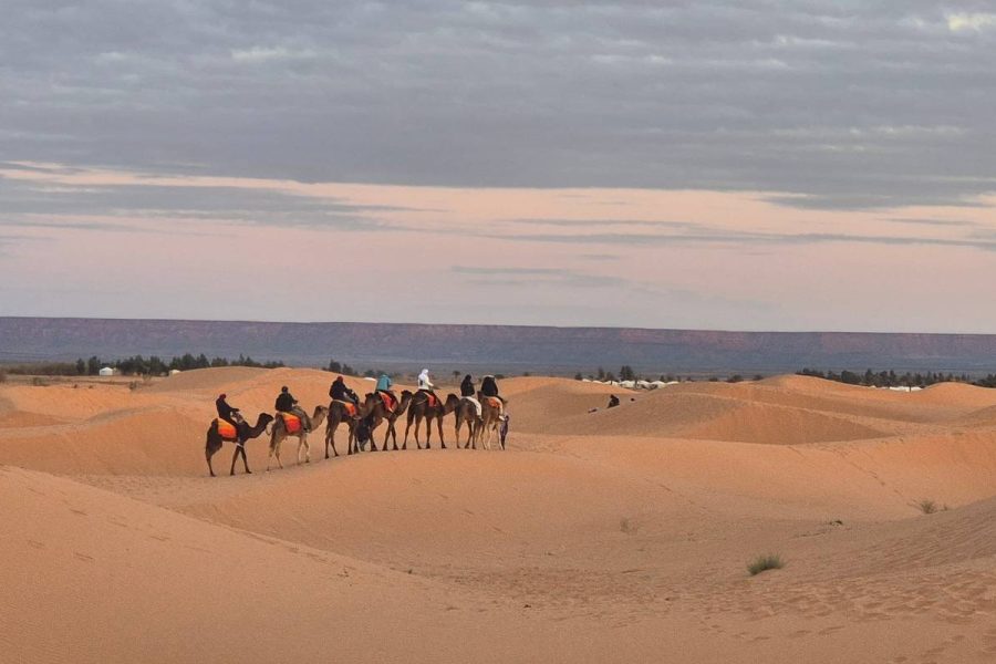 5 Day Tour - Casablanca, Marrakesh