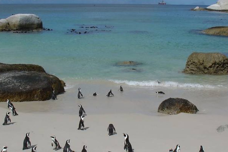 11 Days Cape Town, Garden Route & Kruger