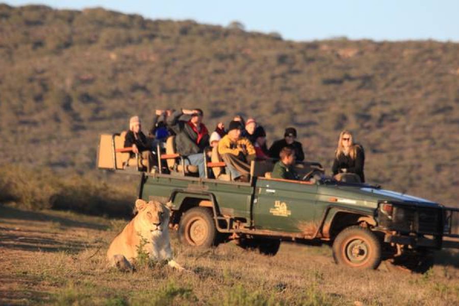 5 Day Garden Route Adventure Including Addo