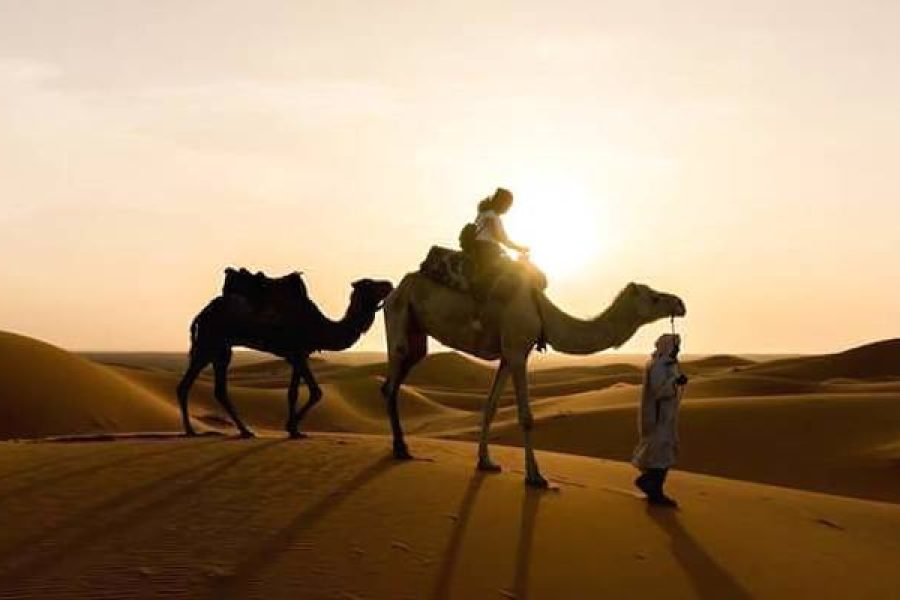 Private 5 days from Casablanca to Marrakech Visiting Chefchaouen, Fes & desert