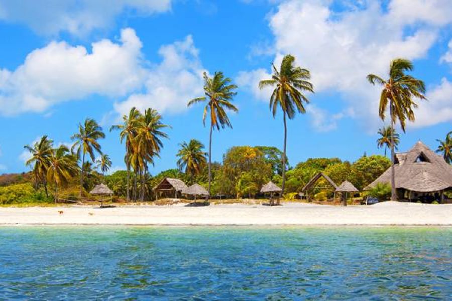 Ecotourism and Cultural Immersion in Jozani Forest National Park Area, Zanzibar