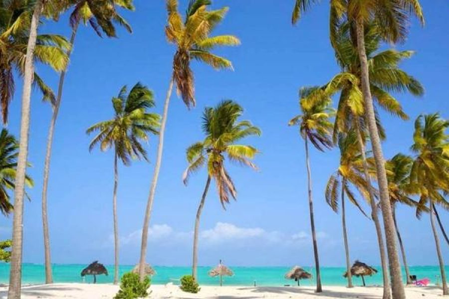 7 DAYS ZANZIBAR BEACH HOLIDAYS