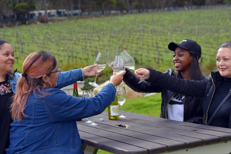 Cape Winelands shared day tour from Cape Town to Stellenbosch and Franschhoek