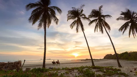 Day 9 Depart Guanacaste